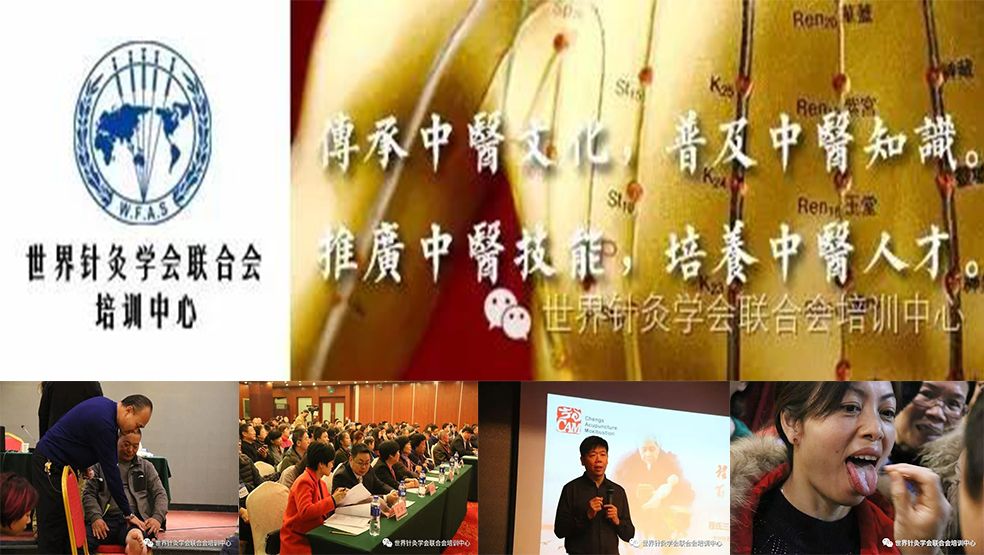 御手國醫前進世界針灸學會學術交流年會 御手國醫前進世界針灸學會學術交流年會